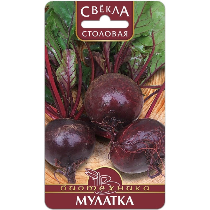 МУЛАТКА