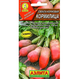 КОРМИЛИЦА