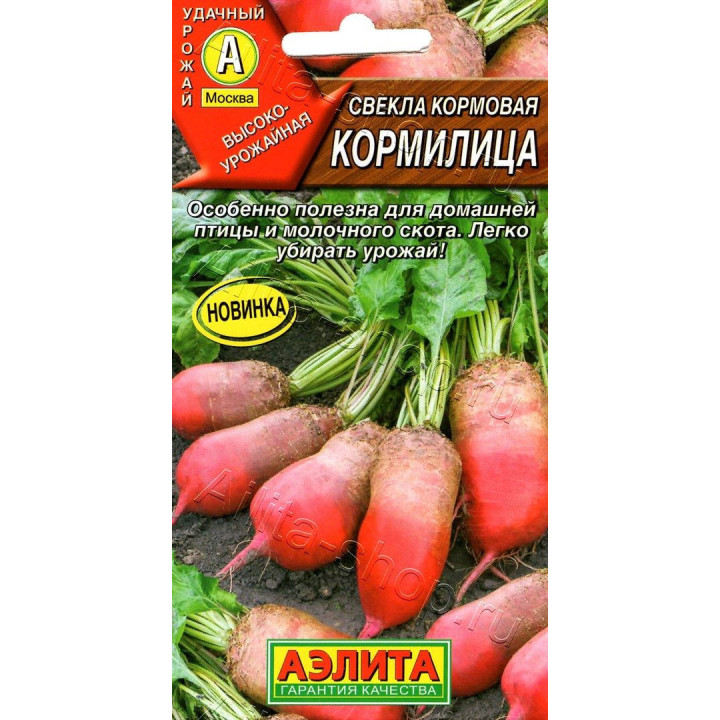 КОРМИЛИЦА