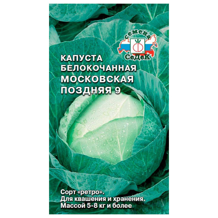 МОСКОВСКАЯ ПОЗДНЯЯ 9