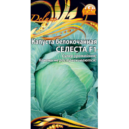 СЕЛЕСТА