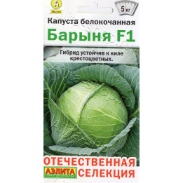 БАРЫНЯ