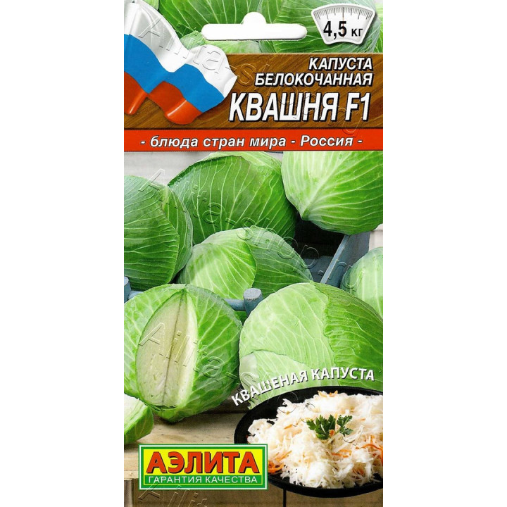 КВАШНЯ