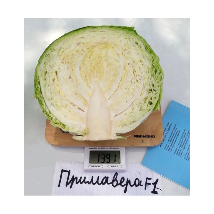 ПРИМАВЕРА
