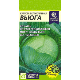 ВЬЮГА