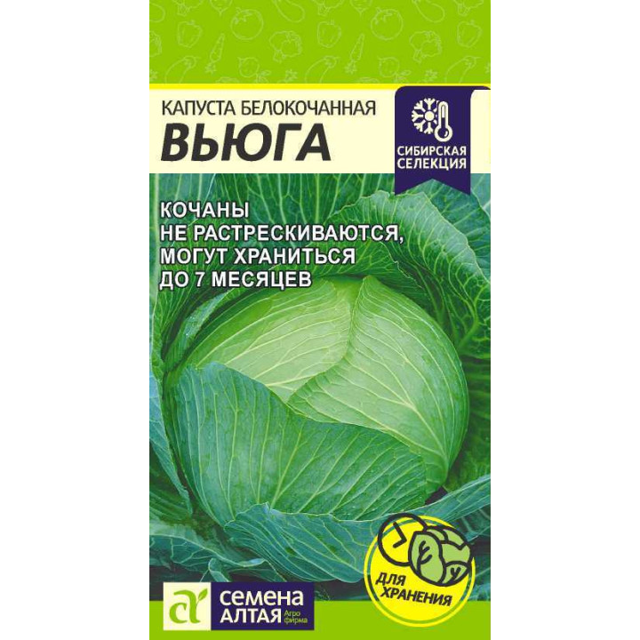 ВЬЮГА