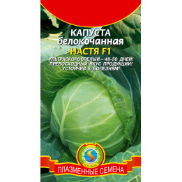 НАСТЯ