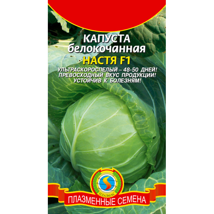 НАСТЯ
