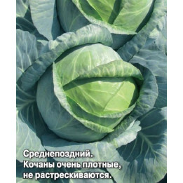 ЛОЗАННА