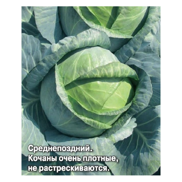 ЛОЗАННА