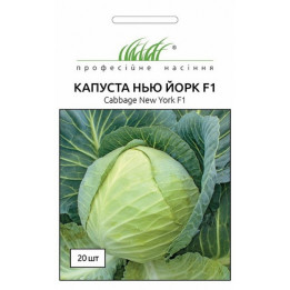НЬЮ-ЙОРК