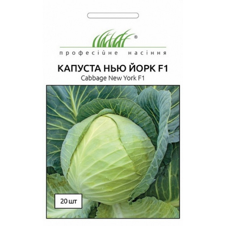 НЬЮ-ЙОРК