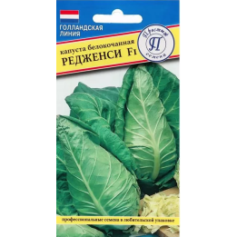 РЕДЖЕНСИ