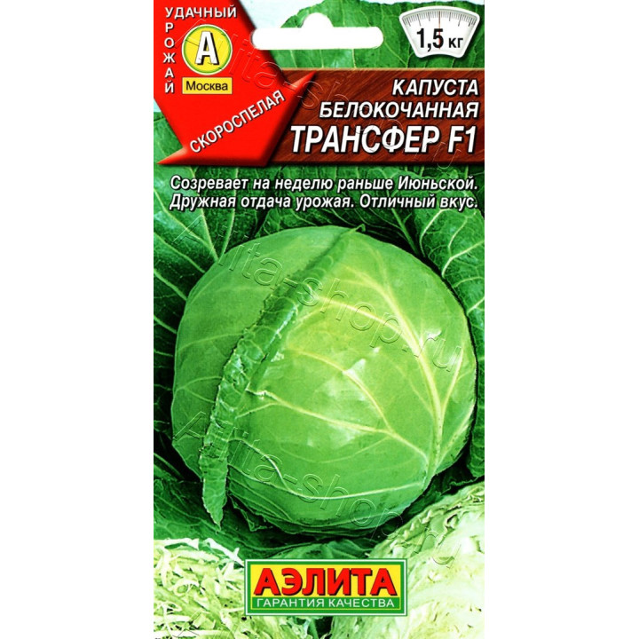 ТРАНСФЕР