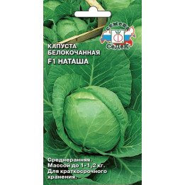 НАТАША