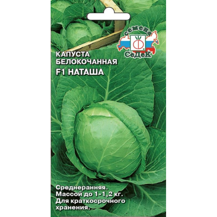 НАТАША