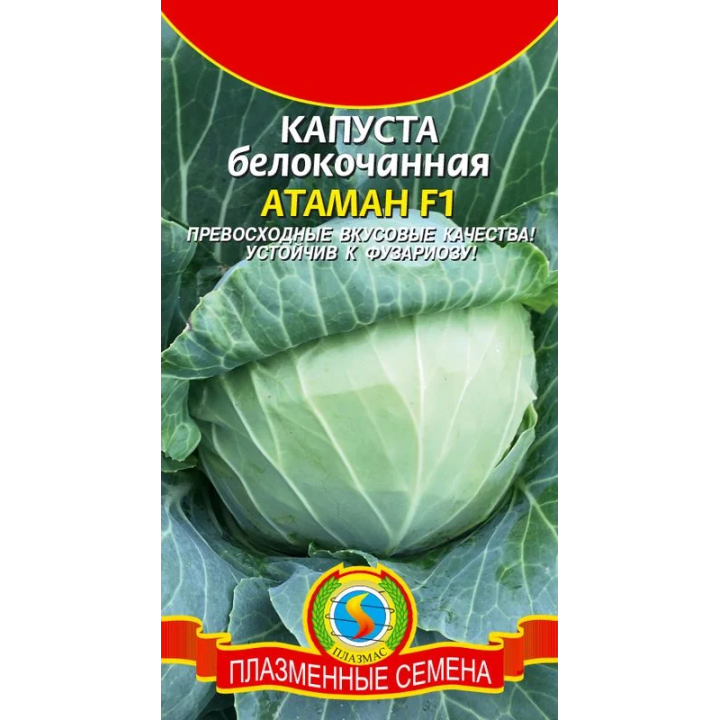 АТАМАН