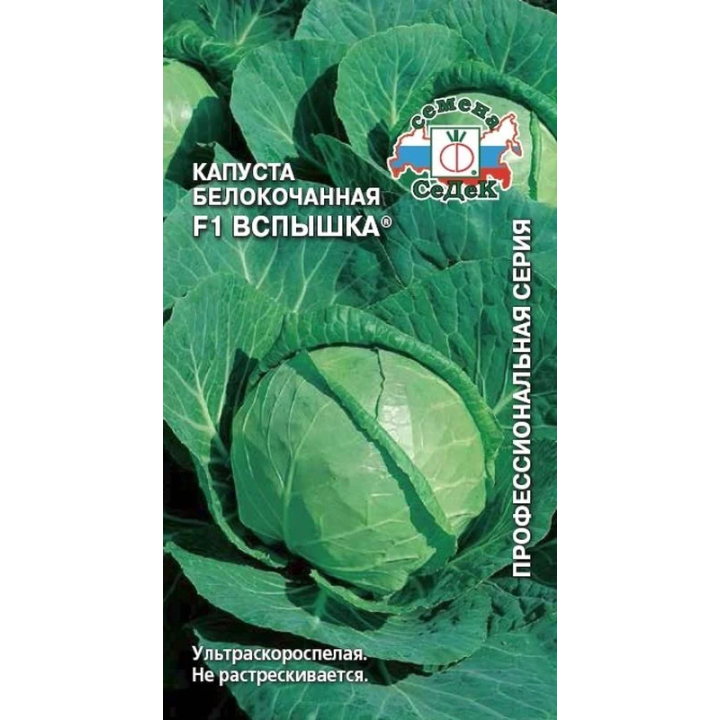 ВСПЫШКА