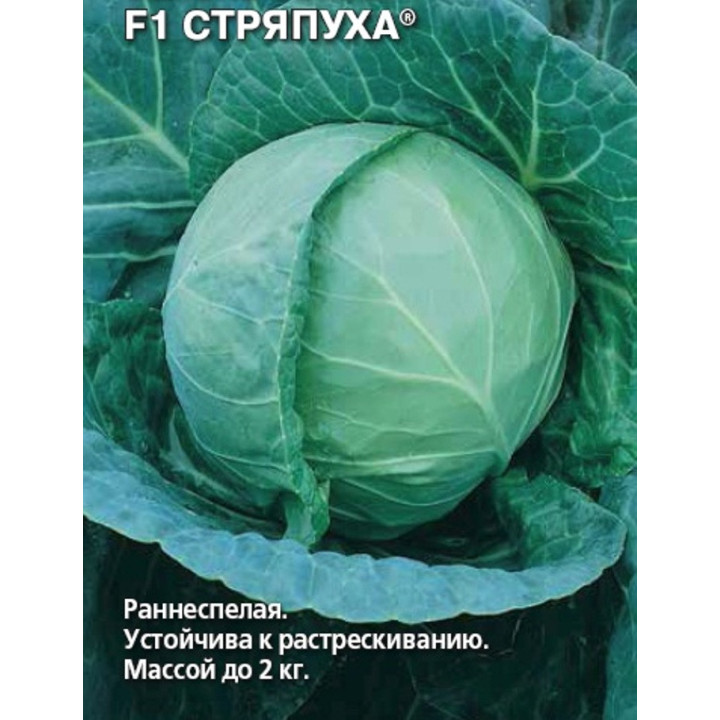 СТРЯПУХА