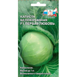 ПЕРВАЯ ЛЮБОВЬ