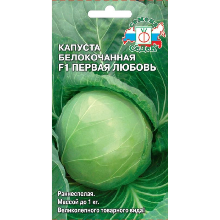 ПЕРВАЯ ЛЮБОВЬ