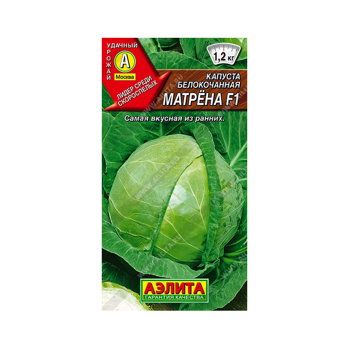 МАТРЕНА