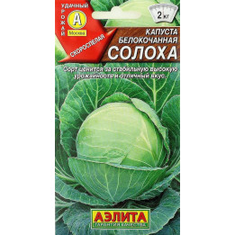 СОЛОХА