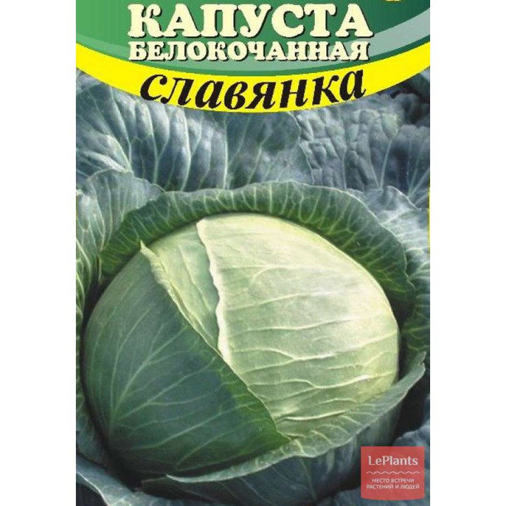 СЛАВЯНКА