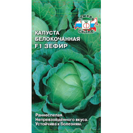 ЗЕФИР