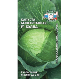 БЭЛЛА