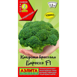 БАРОККО