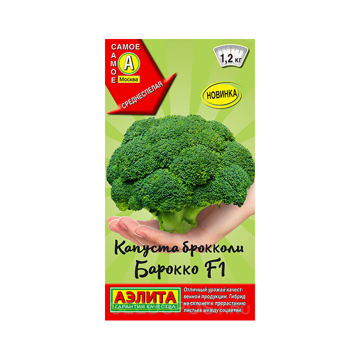БАРОККО
