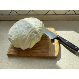 ОРЛОВСКАЯ