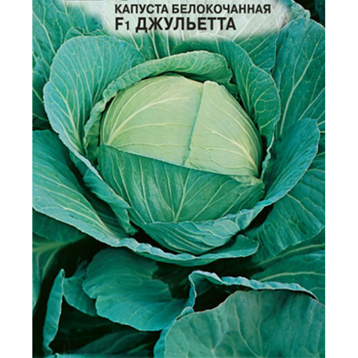 ДЖУЛЬЕТТА