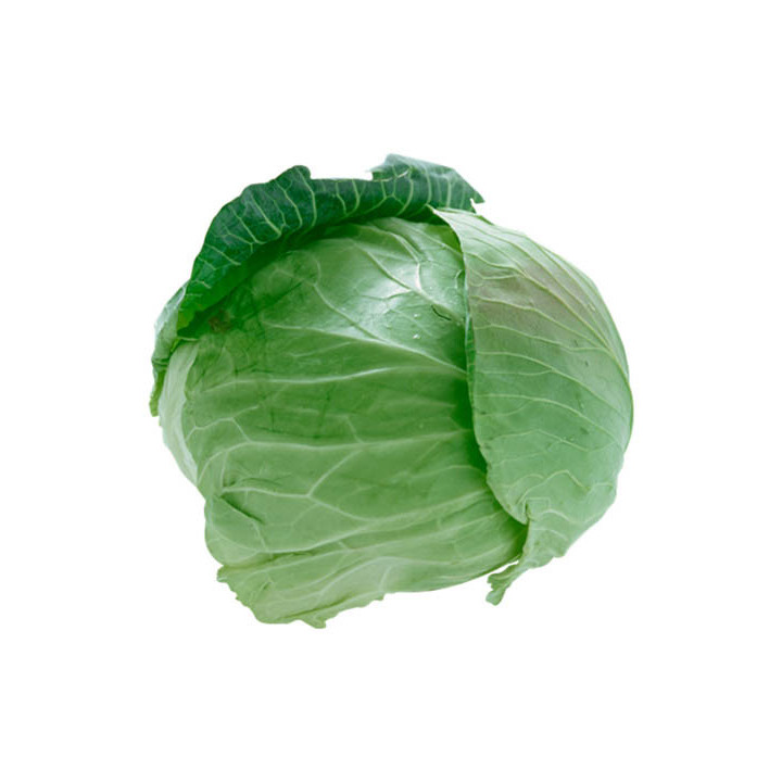 ЗЕНИТ