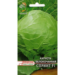 СПРИНТ