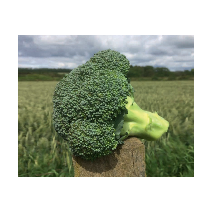 ТИТАНИУМ