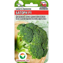 БАТОРИ