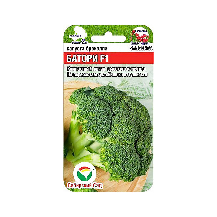 БАТОРИ