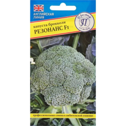 РЕЗОНАНС