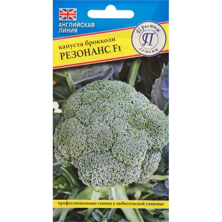 РЕЗОНАНС