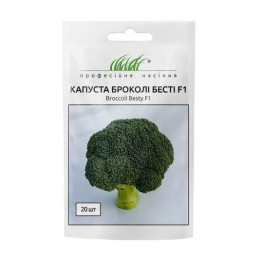 БЕСТИ