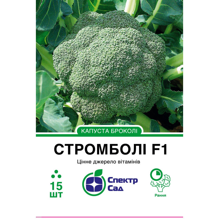 СТРОМБОЛИ