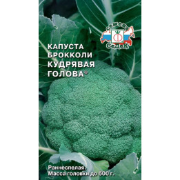 КУДРЯВАЯ ГОЛОВА