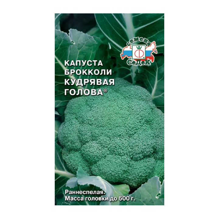 КУДРЯВАЯ ГОЛОВА