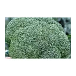 МОНОПОЛИ