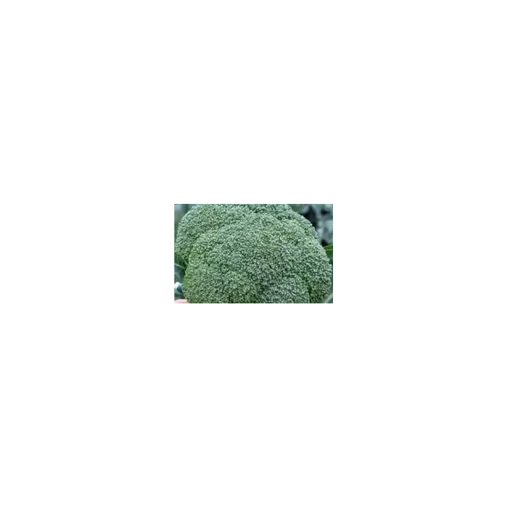 МОНОПОЛИ
