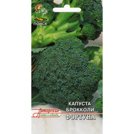 ФОРТУНА