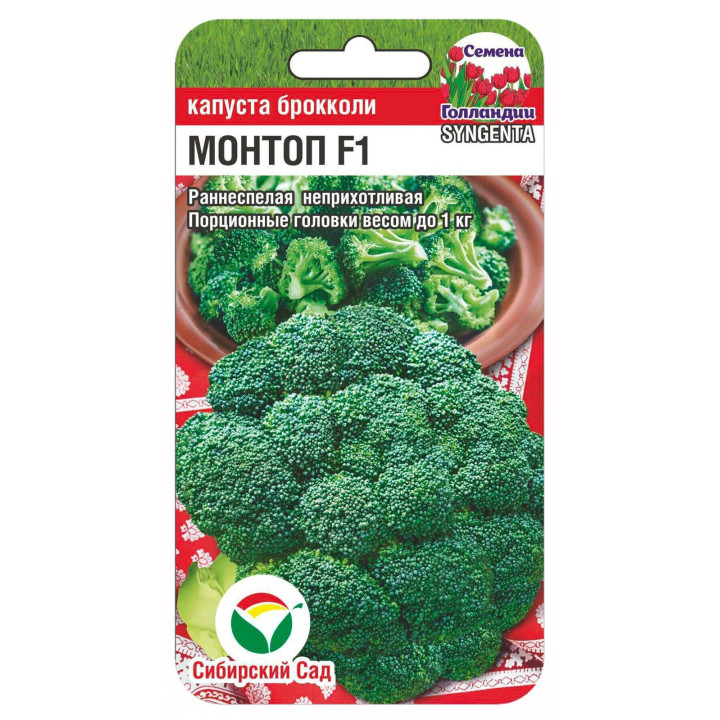 МОНТОП