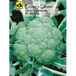ЮНГА
